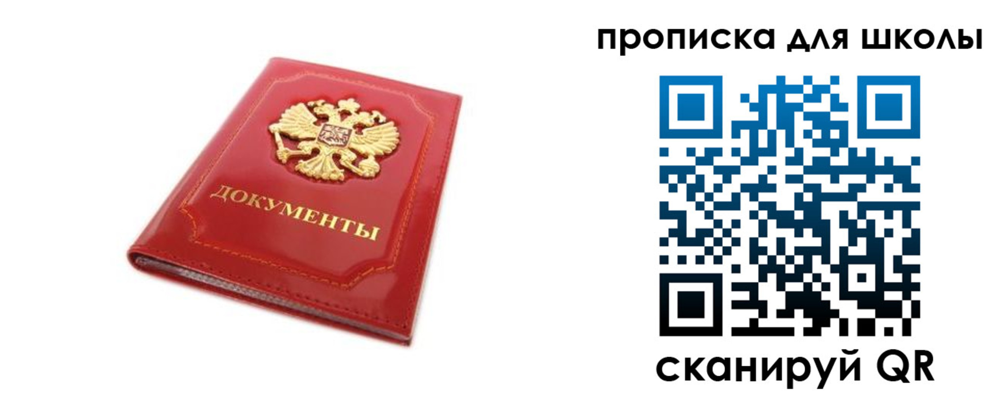 прописка для школы в Светлогорске