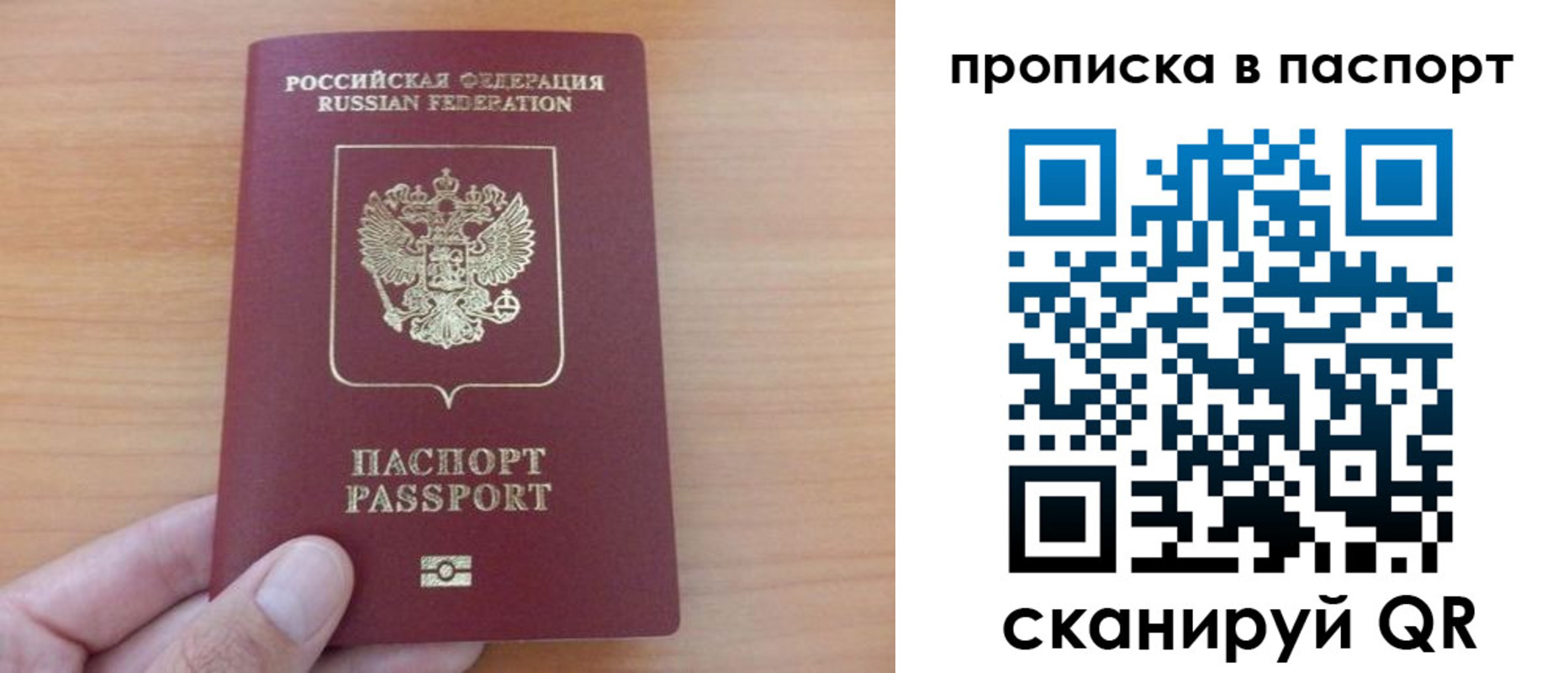 временная регистрация гарантия в Светлогорске