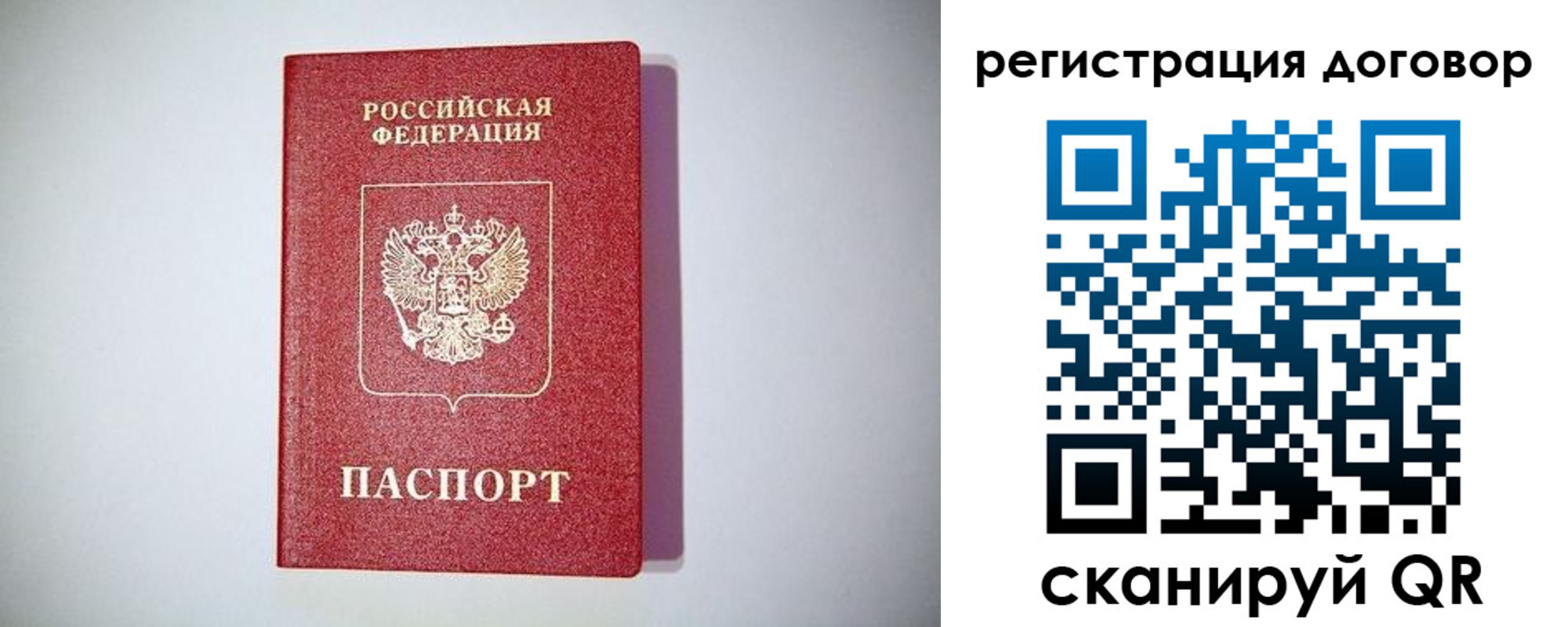 найти адрес прописки в Светлогорске